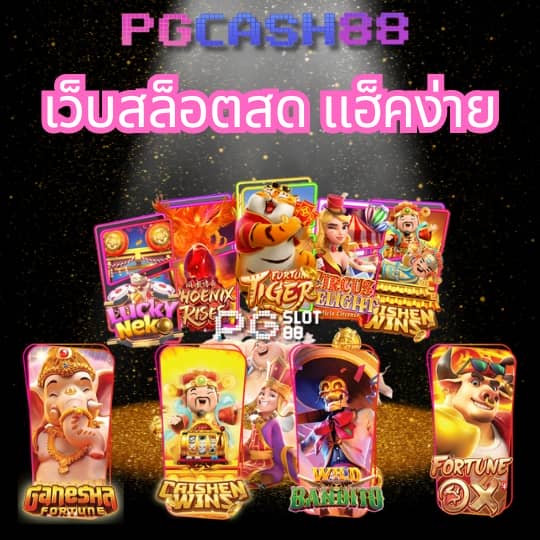 wallet 168